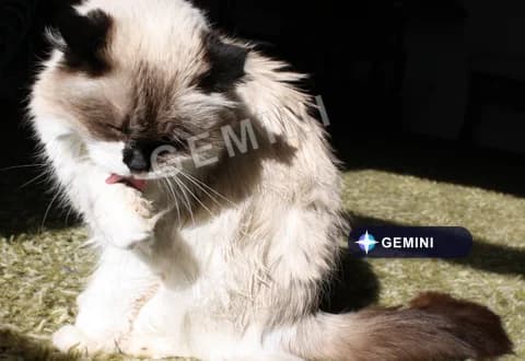 Gemini 水印去除